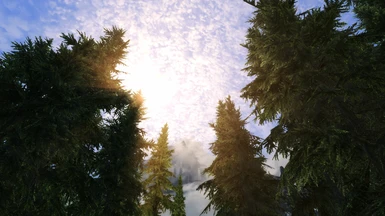 Lush Large trees, Obsidian, Intrigued ENB