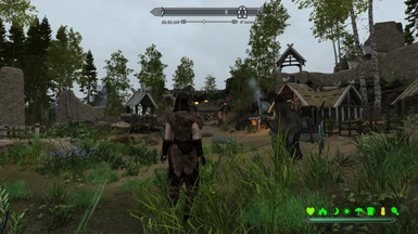 Overgrown Skyrim Field Patches