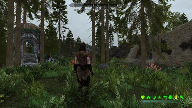 Overgrown Skyrim Field Patches