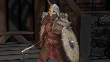 Bjorn Shield and Helmet (with hair)