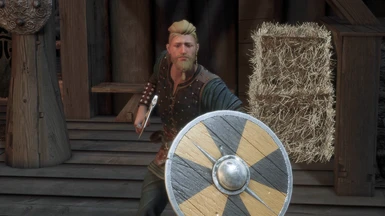Viking Warrior Shield