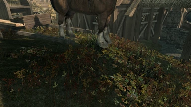 scary floating horse with Ryn's