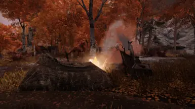 Viva Syrim's wildlife: this fox has taken over the relocated camp