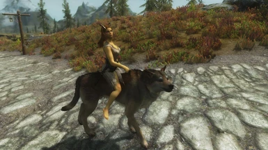 She rides a wolf now!