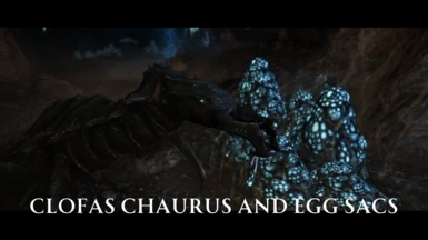 Clofas Chaurus And Egg Sacs