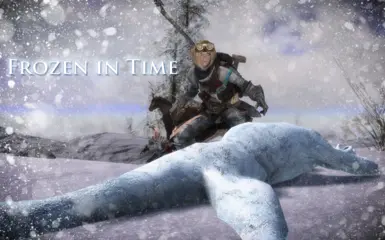 Frozen in Time - Chinese translation