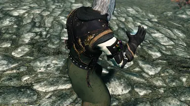 Armor Of Intrigue at Skyrim Nexus - Mods and Community