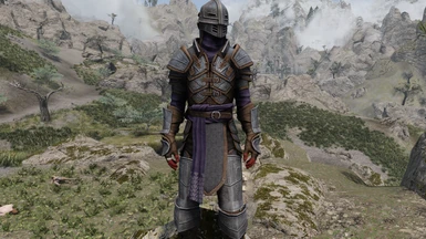 Steel Spell Knight armor with blue hood, doublet, and sash.