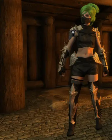 Alternate Armor