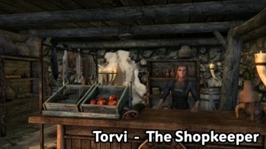 Torvi - The Shopkeeper