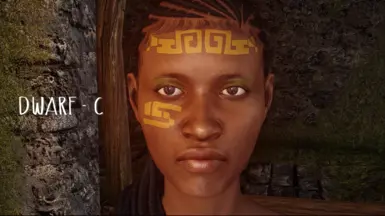 I adjusted the Dwarf tattoos after taking screenshots; they don't sit too high on the forehead anymore
