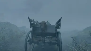 bother, where are you going?