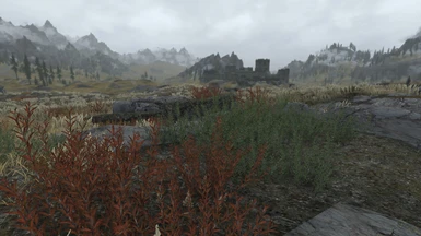 Comparison - Cathedral 3D Tundra Shrubs with ICFur's retexture (Autumn)