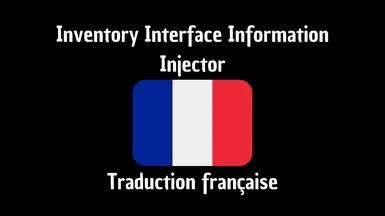 (FR) Inventory Interface Information Injector
