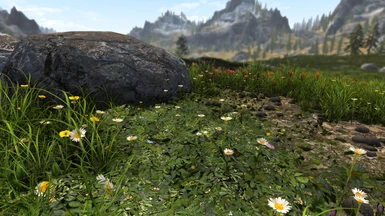 Spring out on the tundra (I didn't run Dyndolod for this, so please ignore the distant terrain color)