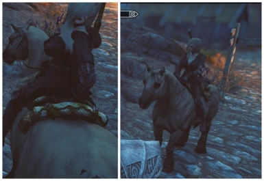 Anely can ride a horse now!