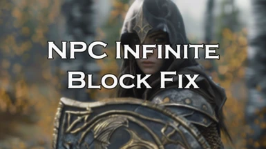 NPC Infinite Block Fix