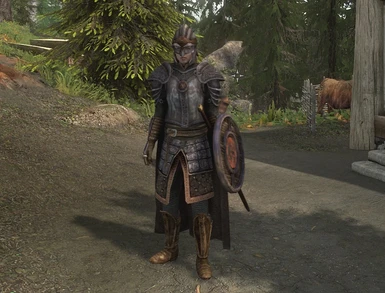 With Stormlord Helm and Shield of Solitude