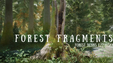 Forest Fragments - Forest Debris Expansion