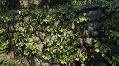 High Quality Ivy Replacer - Base Object Swapper - Seasons of Skyrim