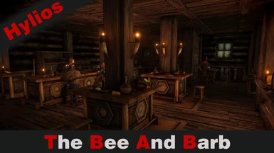 HS Riften - The Bee and Barb