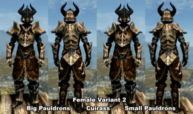 Symmetric Dragonplate Insulated Cuirass and Dragonbone Mail Replacers ...