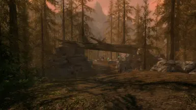 The Weald 1