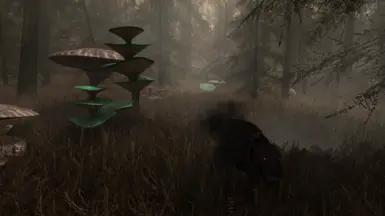 The Weald 2