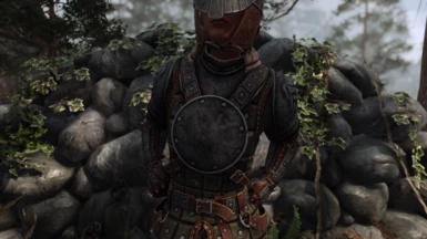 Alternate cuirass or Steel replacer variant