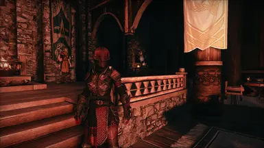 1.2: Red plate with Gray and Red highlights (With Black hood, sash, and doublet)