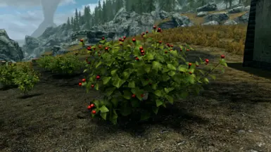Comberries