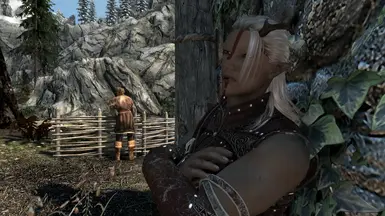 screenshot by Resilverin
