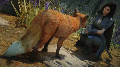 Screenshot by Wooden Knight