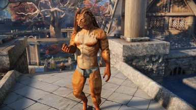 Khajiit Male Spotted Tabby Textures