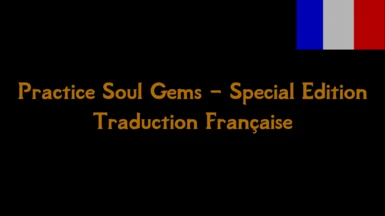 Practice Soul Gems - Special Edition Trad FR