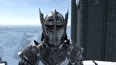 SPOA Silver Knight open helmet
