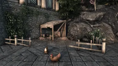 Chicken Pen