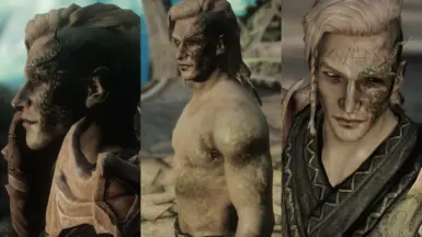 2.0 custom skin based on BnP Male skin by Fridam &amp; Enroys (by bad photographer me)