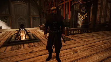 Optional esp replaces Proventus' outfit like this for those who aren't big on witcher references