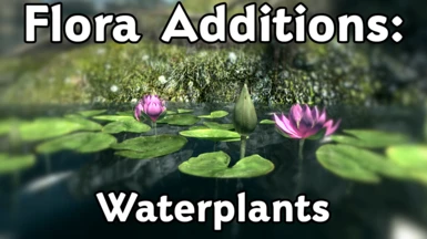 Flora Additions - Waterplants