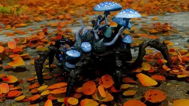 USSEP - Shroom Beetles PATCH