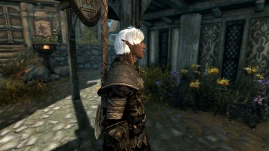 Fenris w Improved Eyes and Tempered Skins