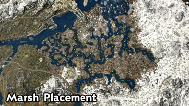 Marsh Placement