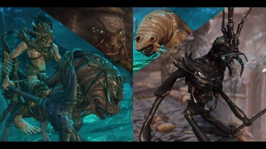 Hive Guardians- Mihail Monsters and Animals (SE-AE version) (''falmer'')
