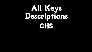 All Keys Descriptions - CHS for v2.1