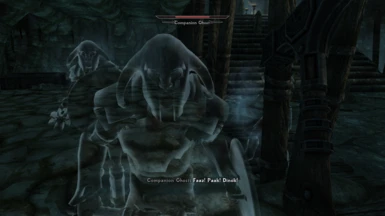 Companions Ghosts Draugr Voiced