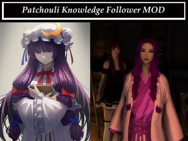 (Touhou Project) The Unmoving Great Library Patchouli Knowledge - Follower SE