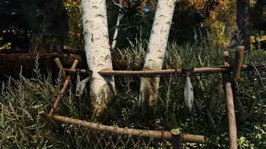 Conflict with Diverse Catches