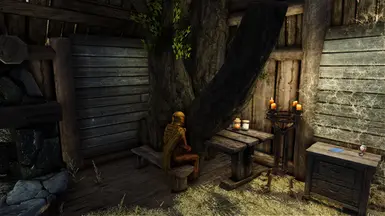 Conflict with T'Skyrim