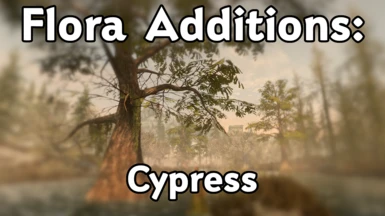 Flora Additions - Cypress